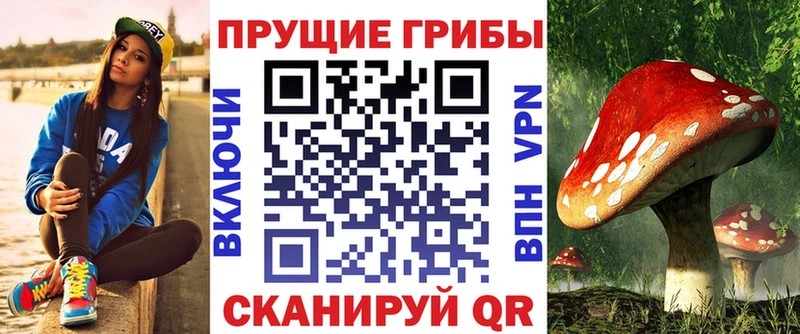 Галлюциногенные грибы Psilocybine cubensis  mega зеркало  Вологда 