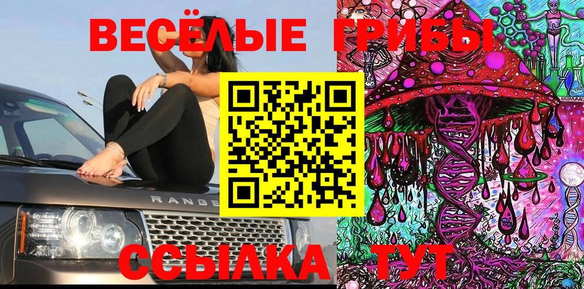 как найти наркотики  Псилоцибиновые грибы Magic Shrooms  Вход с VPN  Вологда 