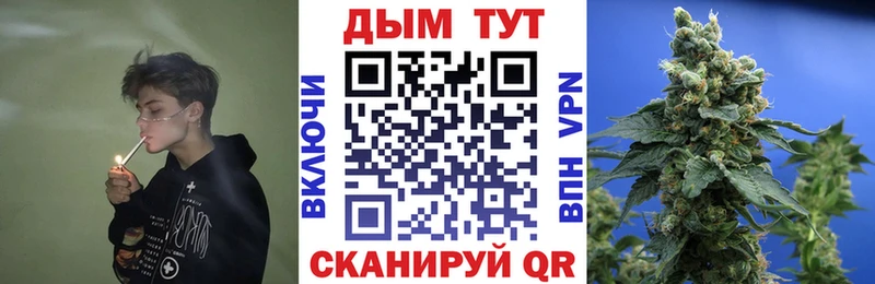 Шишки марихуана планчик  Вологда 